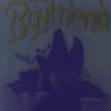 The Boyfriend